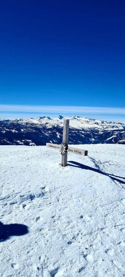 Ferienwohnungen Bergpanorama Bad Mitterndorf Exteriér fotografie