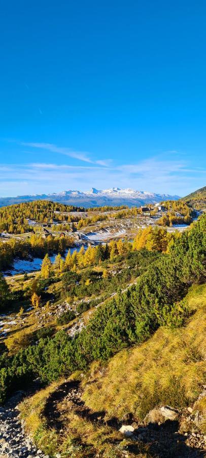 Ferienwohnungen Bergpanorama Bad Mitterndorf Exteriér fotografie